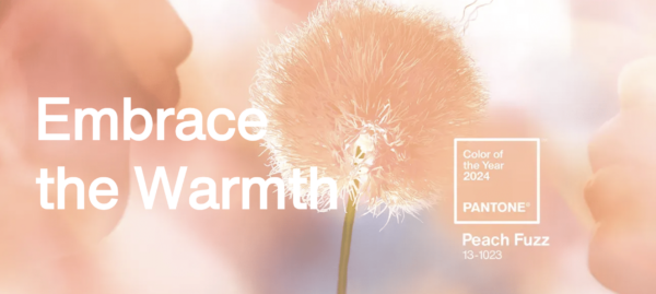 Pantone Color of the Year 2024: Fuzzy Peach | WPL Interior Design